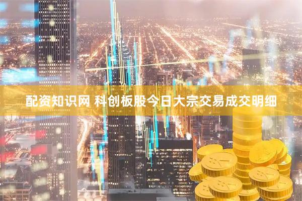配资知识网 科创板股今日大宗交易成交明细