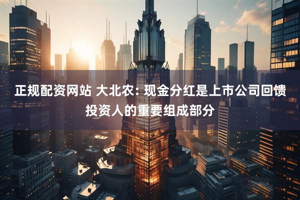 正规配资网站 大北农: 现金分红是上市公司回馈投资人的重要组成部分