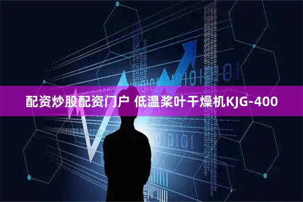 配资炒股配资门户 低温桨叶干燥机KJG-400
